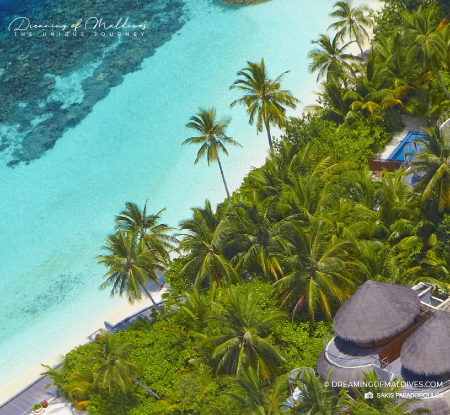 W Maldives, une ile tropicale digne d'une carte postale. villas plage