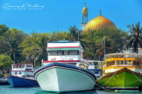 Bateaux de pêche au port de Male