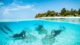 programme conservation corail à Four Seasons Resort Maldives at Kuda Huraa