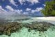 top resorts pour le snorkeling aux maldives jardin de corail
