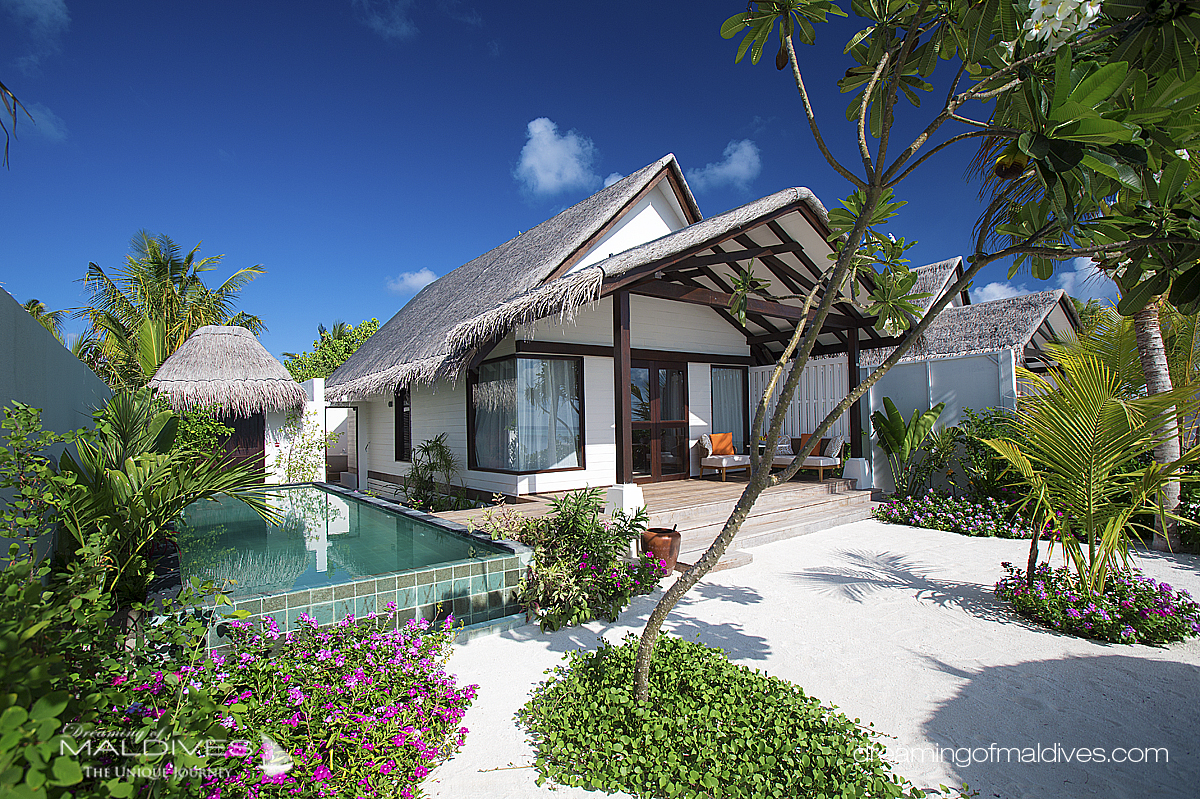 Earth Villa Avec Piscine OZEN at Maadhoo