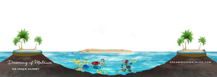 formation atolls iles maldives