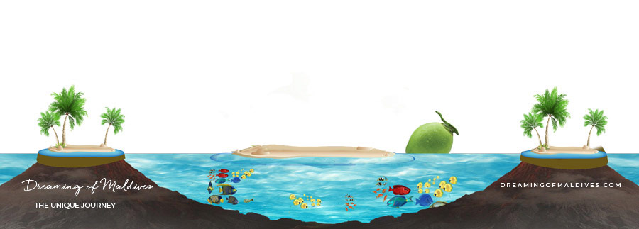 formation iles maldives