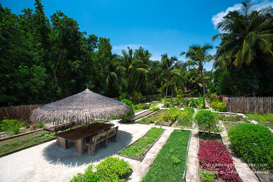 LE JARDIN BIOLOGIQUE de Gili Lankanfushi Maldives