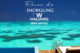 guide snorkeling hôtel w maldives