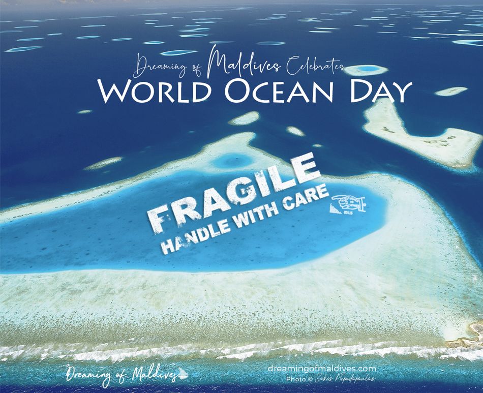 Hommage Journée Mondiale des Océans 2020