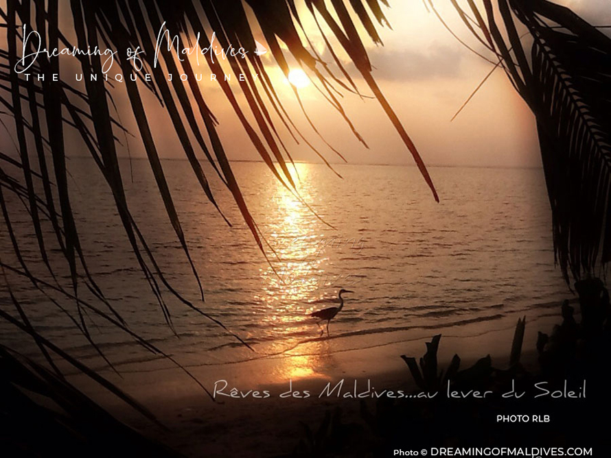 Lever de Soleil sur une plage des Maldives