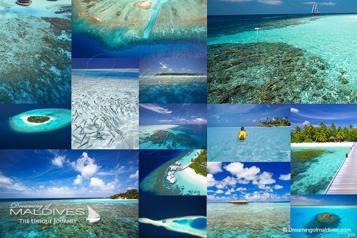 Les Plus Belles Iles Hôtels des Maldives pour faire du snorkeling