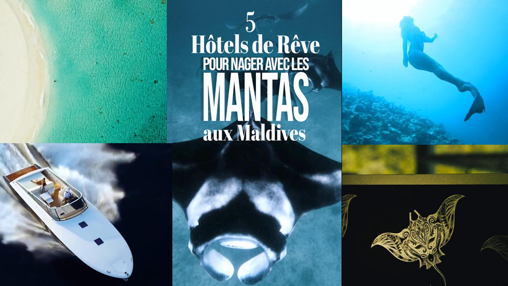 vidéo meilleurs hotels maldives nager avec mantas
