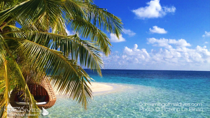 10 Endroits de Rêve des Maldives Nid Suspendu cocotier Coco Prive Maldives