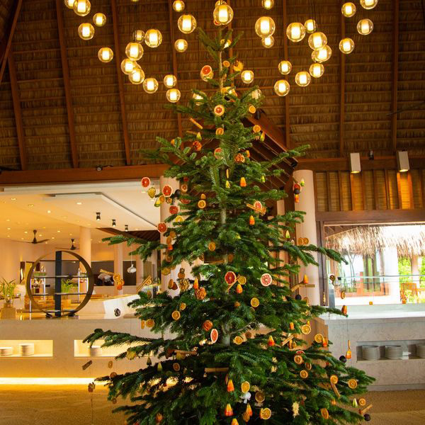 Sapin de Noël Maldives Veligandu