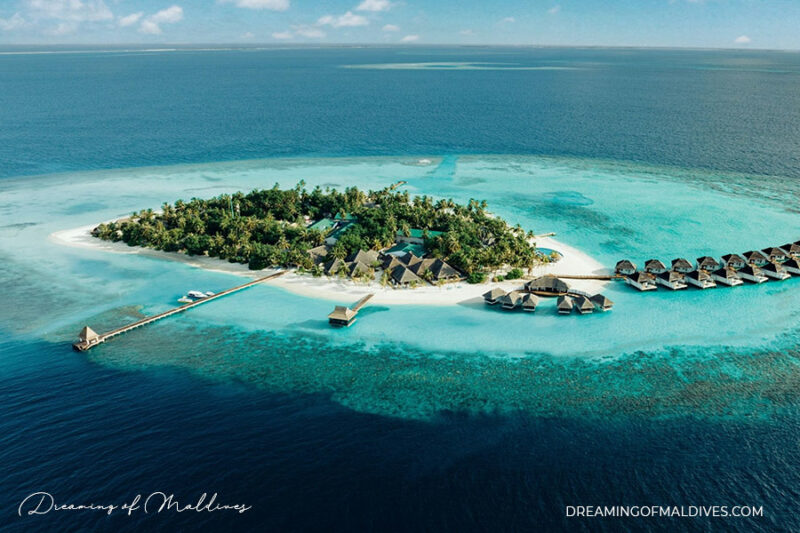 NOva maldives
