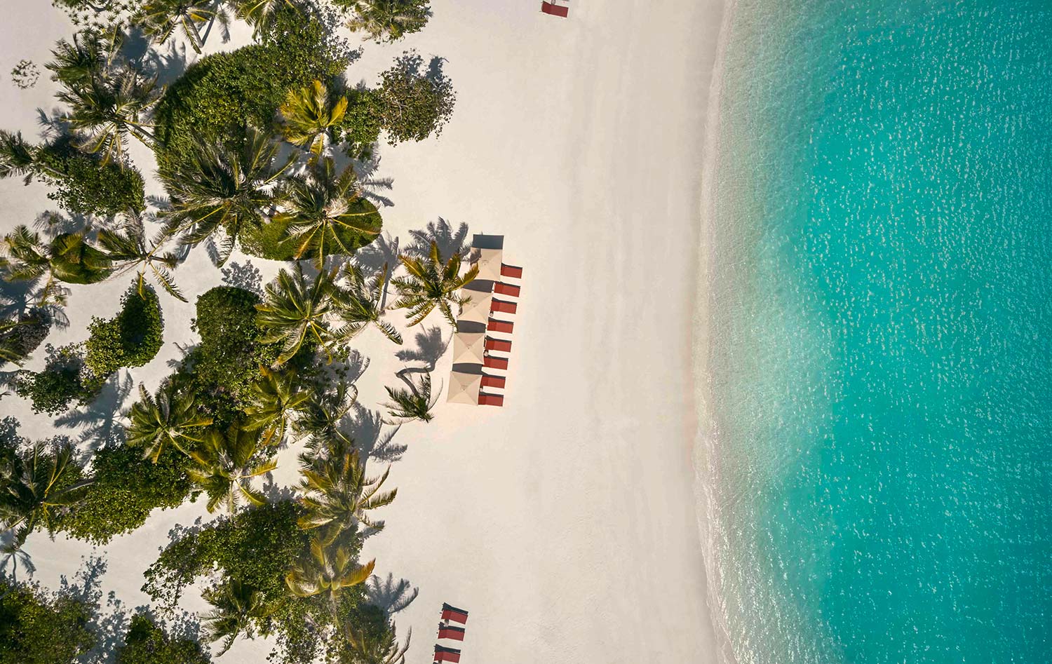 Patina Maldives Meilleur Hôtel des Maldives 2026 TOP 10 Hôtels de Rêve