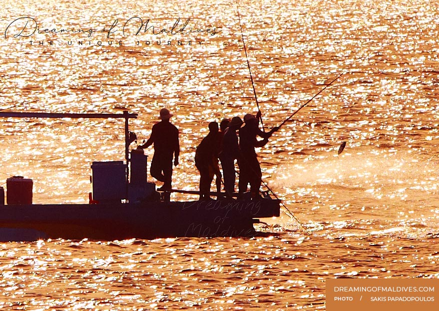 Pêche traditionnelle à la ligne et à la canne aux Maldives.
