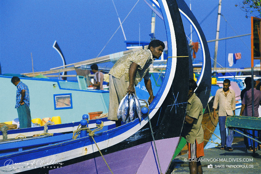Pêcheur de thon Maldivien ramenant ses prises au port de Male, la capitale des Maldives