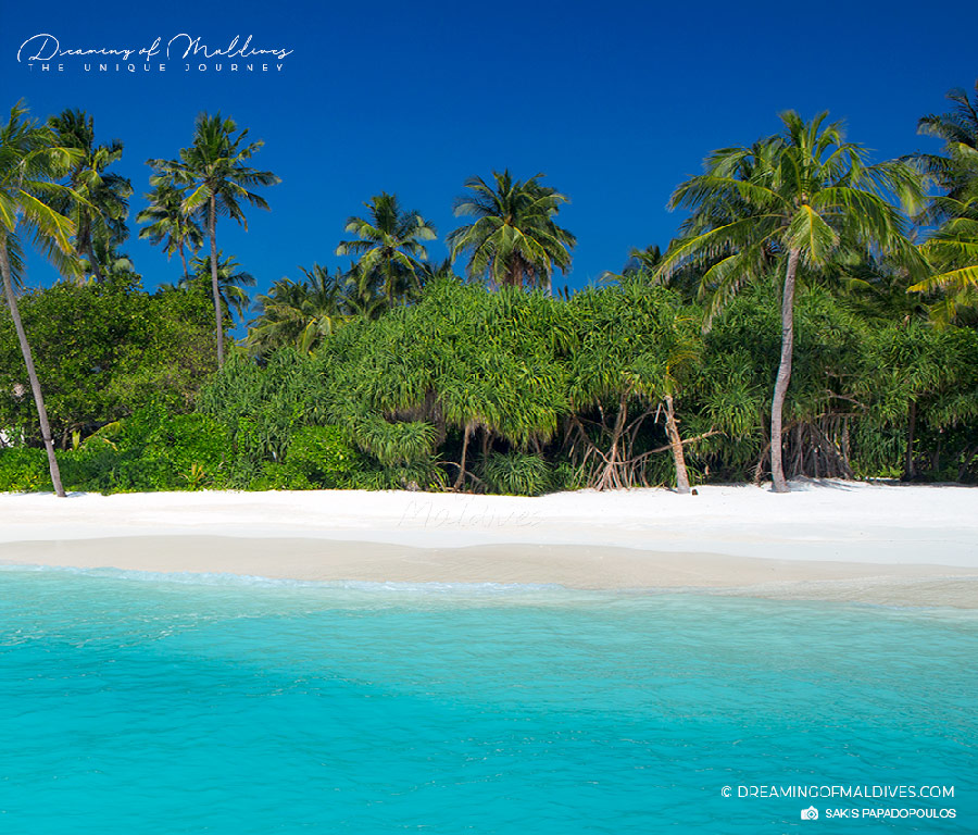 plus belle plage des maldives