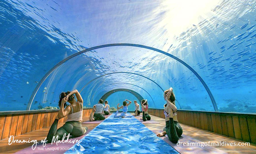 Séance de Yoga sous la mer au restaurant 5.8.