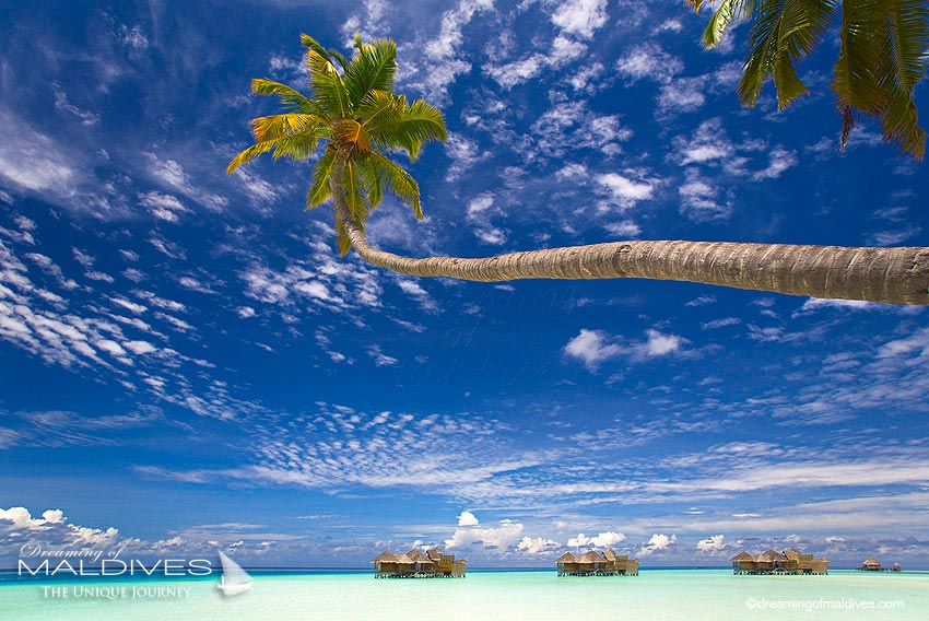 Gili Lankanfushi Maldives Crusoe Residence Water Villas