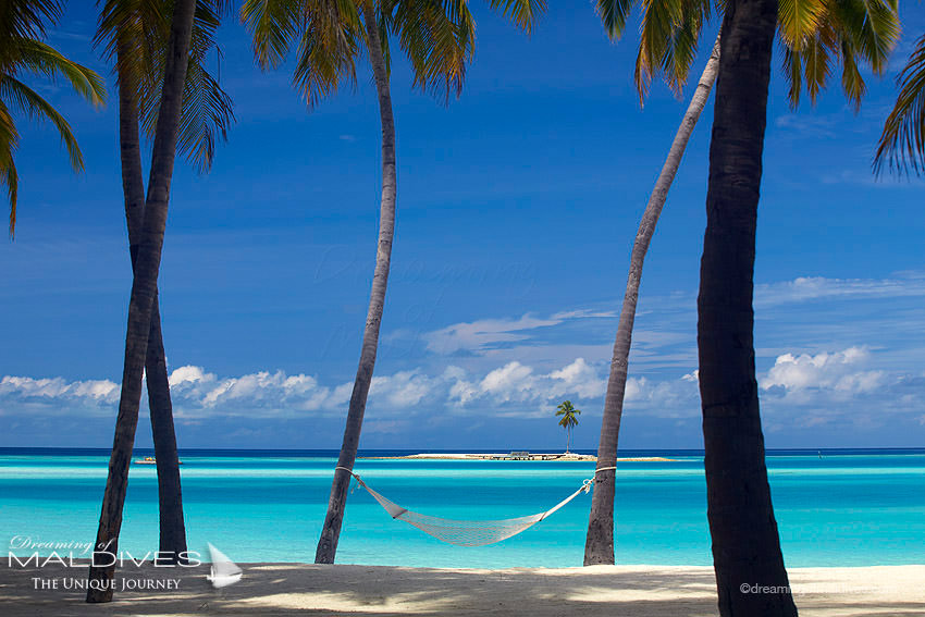 Gili Lankanfushi Maldives One Palm Island