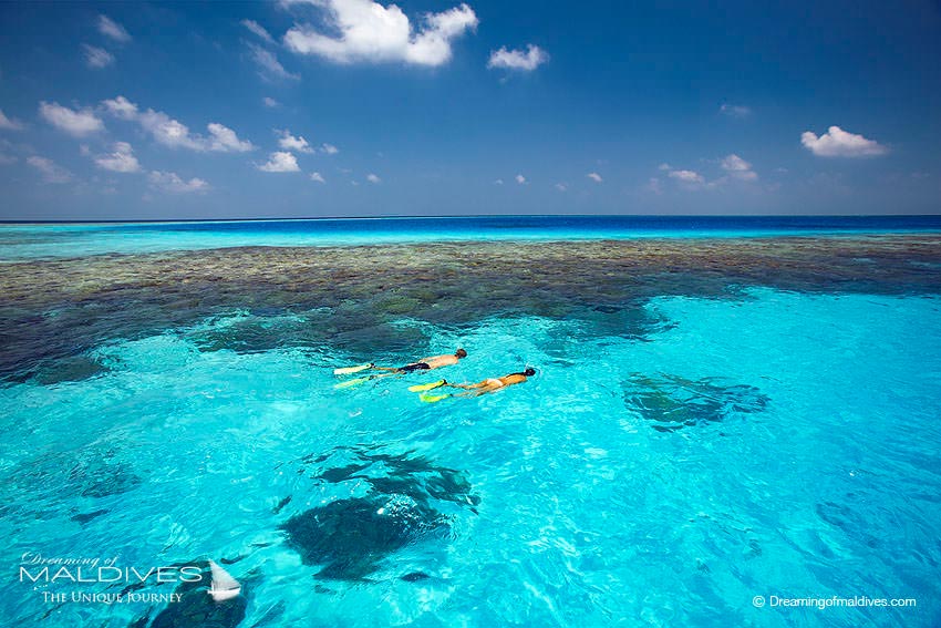 Gili Lankanfushi Maldives Snorkeling