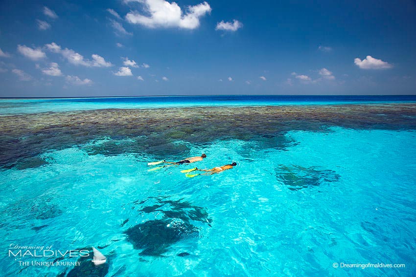 Snorkeling at Gili Lankanfushi Maldives