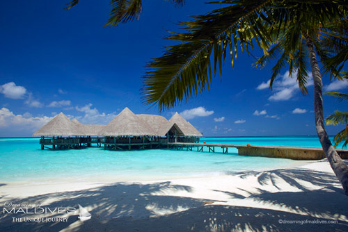 Gili Lankanfushi Maldives - The Over Water Bar
