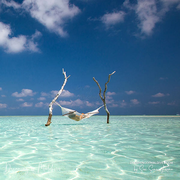 Dreaming of Maldives The Blog
