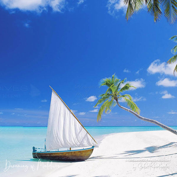 Dreaming of Maldives The Blog
