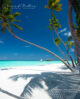 beautiful beach Maldives 