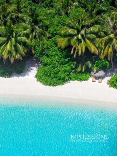 Welcome, August.
Let it be slow, barefoot, and kissed by the sea.
📷 @impressionsphotobysakis  #indianocean #paradiseisland #maldives #luxurylifestyle #maldivesislands #beautifulmaldives #traveldiary #wanderlust #beachlife #beachvibes #beautifuldestinations #wonderful_places #travel #travelphotography #postcardsfromtheworld #vacation #chillvibes  #passionpassport #instatravel #instamood  #exploremoreً #travelgoals