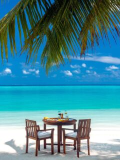 Reserved for two… under the palm trees, by the water’s edge.
📷 @impressionsphotobysakis  #indianocean #paradiseisland #maldives #luxurylifestyle #maldivesislands #beautifulmaldives #traveldiary #wanderlust #beachlife #beachvibes #beautifuldestinations #wonderful_places #travel #travelphotography #postcardsfromtheworld #vacation #chillvibes  #passionpassport #instatravel #instamood #dining #explore #travelgoals