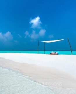 Chill out here dreamers
Captured 📷 @impressionsphotobysakis #indianocean #paradiseisland #maldives #luxurylifestyle #maldivesislands #beautifulmaldives #traveldiary #wanderlust #beachlife #beachvibes #beautifuldestinations #wonderful_places #travel #travelphotography #postcardsfromtheworld #vacation #chillvibes #passionpassport #instatravel #instamood #exploremore