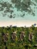 aerial beach villas pullman maldives