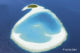 aerial-photo-maldives-3 Aerial photography Maldives - Island and her perfect private lagoon