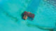 aerial view The Stella Maris Ocean Villa with Pool at Waldorf Astoria Maldives Ithaafushi