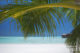 Anantara Dhigu Maldives October's Dreamy Resort