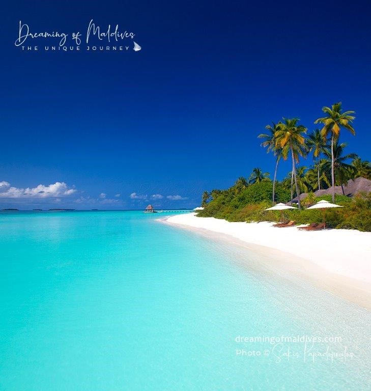 dreaming of maldives