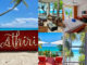 Athiri Beach Maldives best hotel dhigurah whale sharks paradise