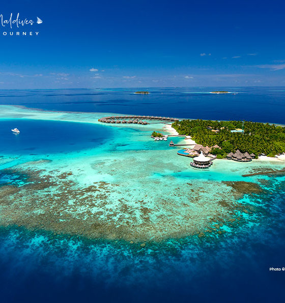 Snorkeling at Baros Maldives