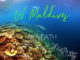 see beneath W maldives snorkeling