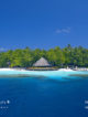 best maldives atolls for snorkeling