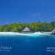 best maldives atolls for snorkeling