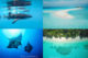 Best Hotels & Guest Houses Dhigurah Island Maldives whales sharks paradise 
