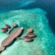 2023 maldives best luxury resorts