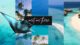 video best luxury resorts swim with manta rays maldives