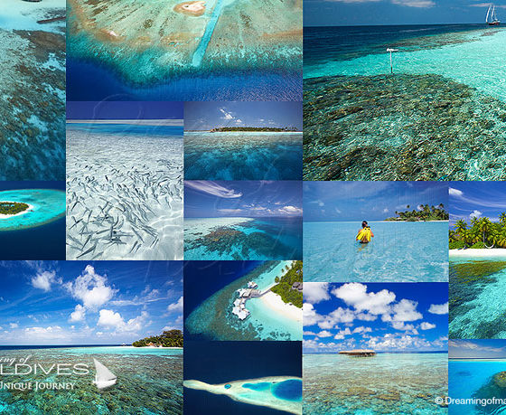 The Best Maldives Resorts for Snorkeling Guide to Snorkeling