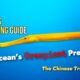 The Chinese Trumpetfish in Video – Maldives' Sneakiest Predator