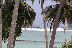 Surfinn Cokes Surf Camp Thulushoo ISland Coke's Break