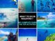 What To Do In Maldives ? My complete Guide The Top Activities