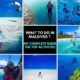 What To Do In Maldives ? My complete Guide The Top Activities